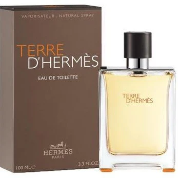 Terre D'Hermes EDT 100 ML - Hermes